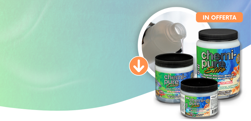 Acqua Cristallina <br> e Sana con Chemi