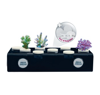 Aqua Medic frag board mag - Supporto bordo vasca per talee