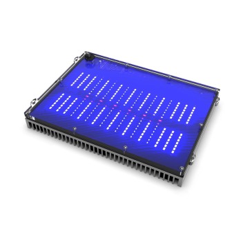 GNC BluRay X M - Plafoniera LED per Acquario Marino