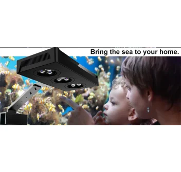 Plafoniera Aquanest Aqua Mini M5W40 40 Watt con supporto bordo vasca