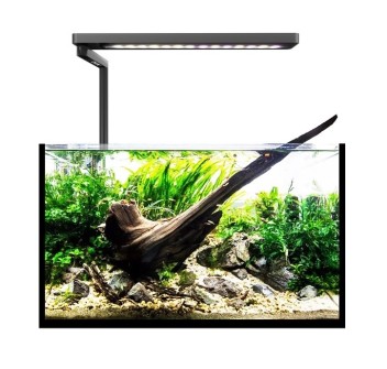 Plafoniera MICMOL SOLO BLACK