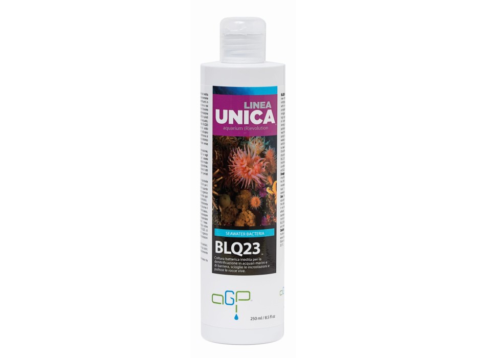 UNICA BLQ23 1000 ML - Batteri