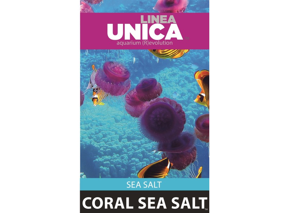 UNICA Coral Sea Salt   20kg  cartone